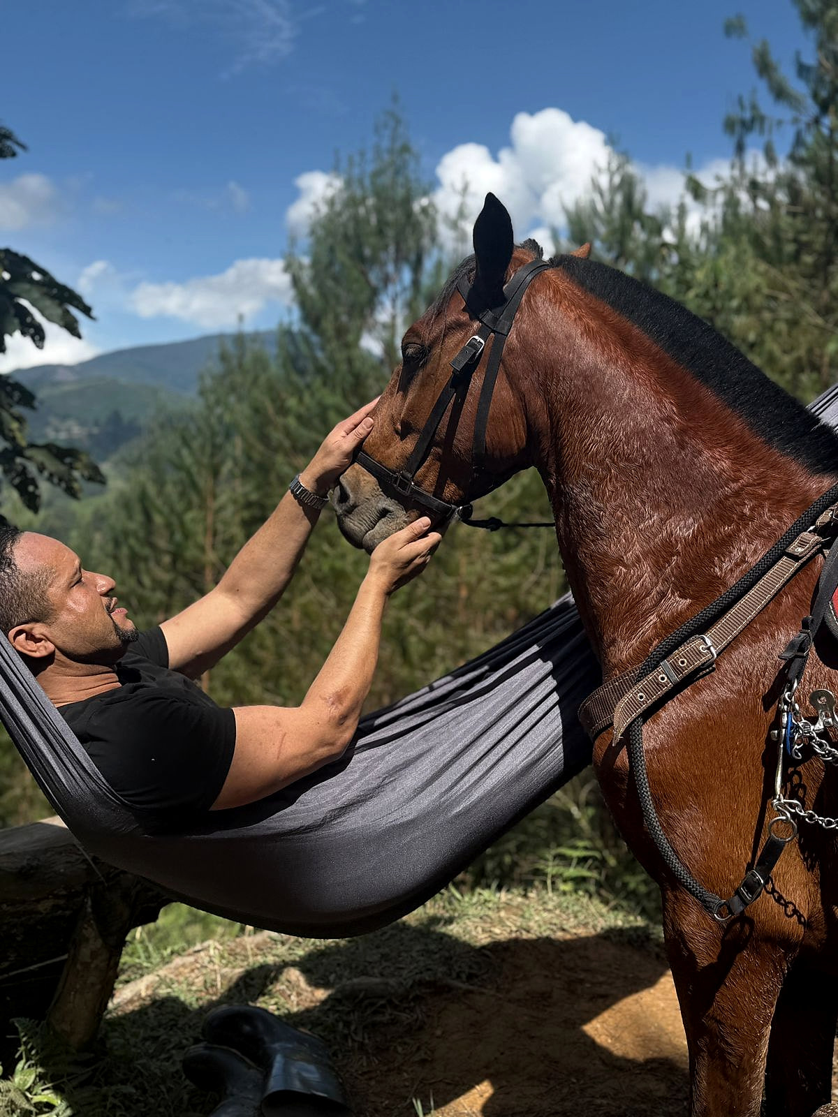 Louis Stedman-Bryce lying in a hammock, reaching up to hold the face of a horse, hills behind.